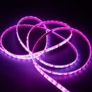 LED traka E-Light 2835-60 2700K IP20