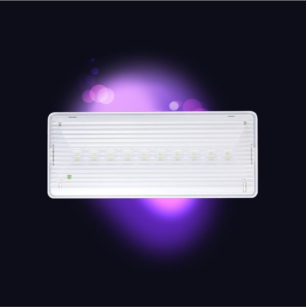 PANIK SVIJETILJKA 5W IP43 10 smd LED 3,7V/1,2Ah(UGR./NADG.) LT-49010 FLUXRAM